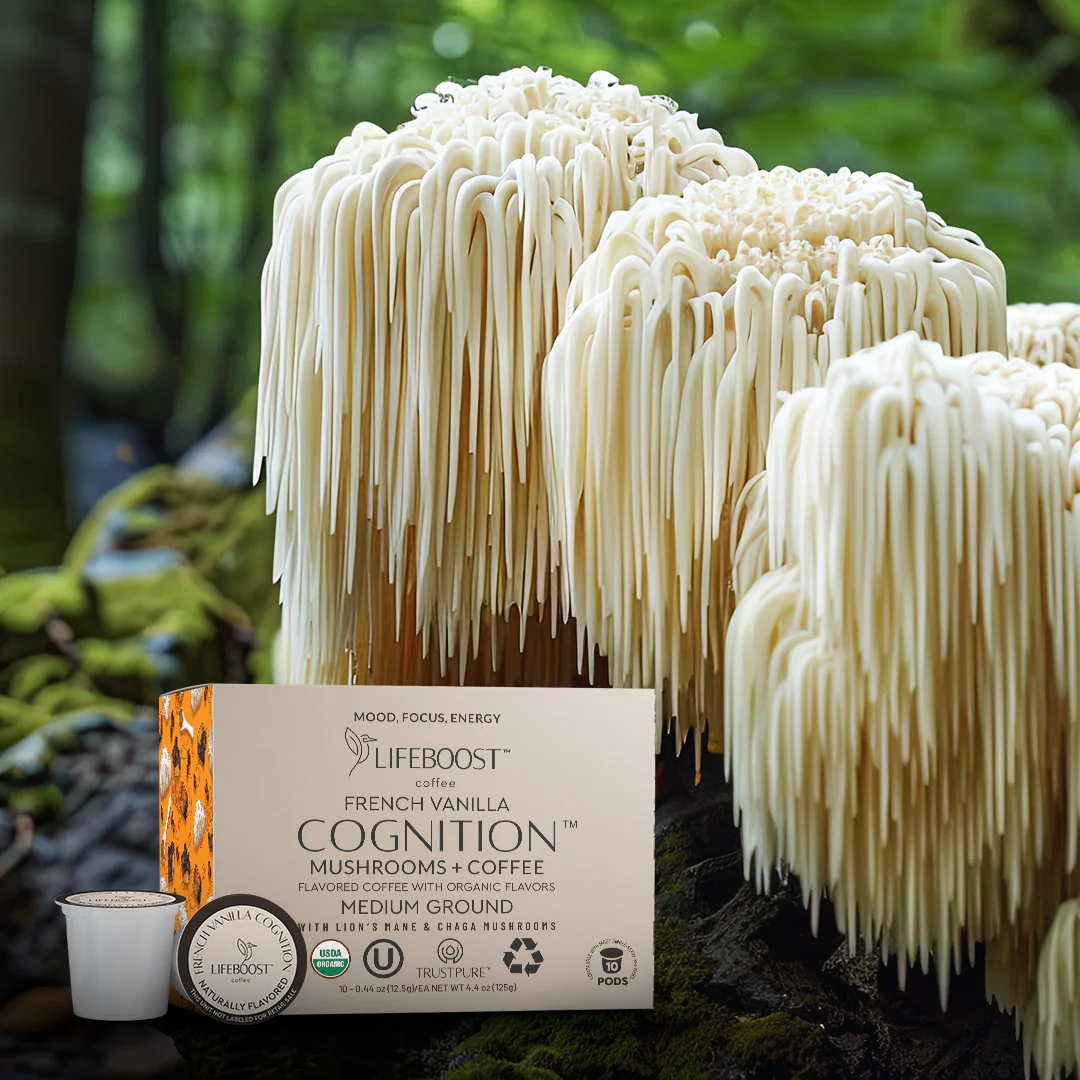 French Vanilla Mushroom Cognition Pods - Image 9