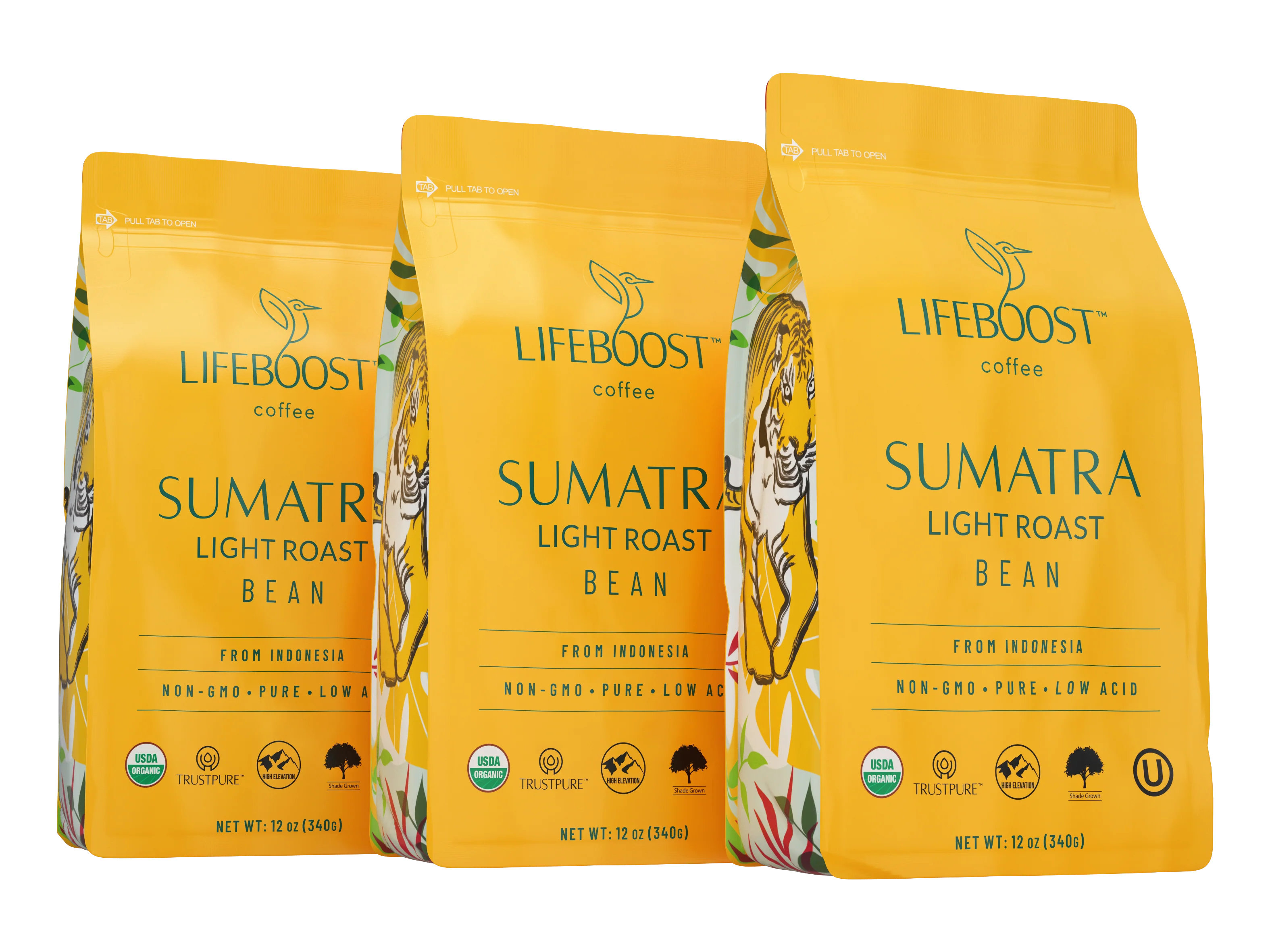 Lifeboost Indonesia - Image 12