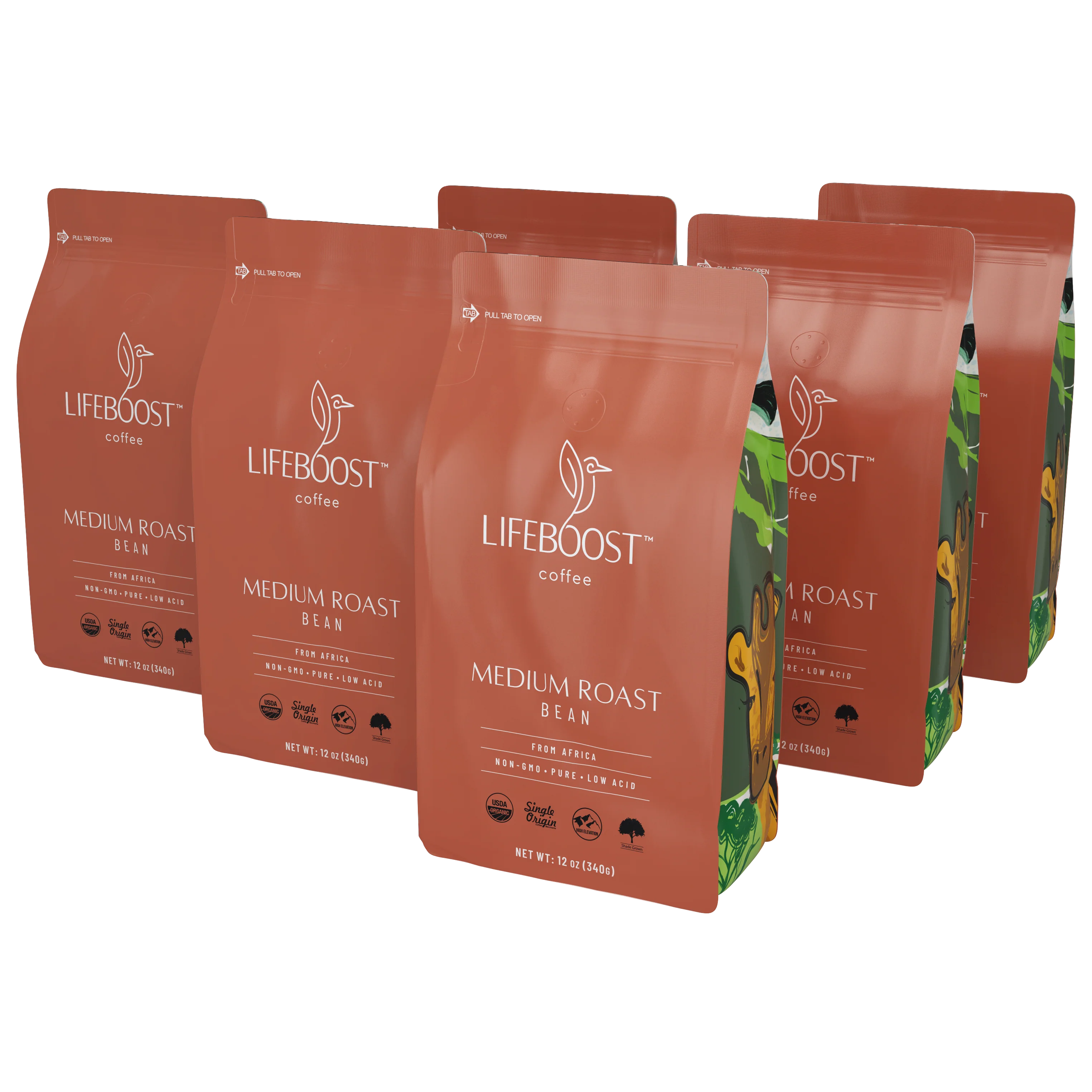 Lifeboost Africa - Image 16