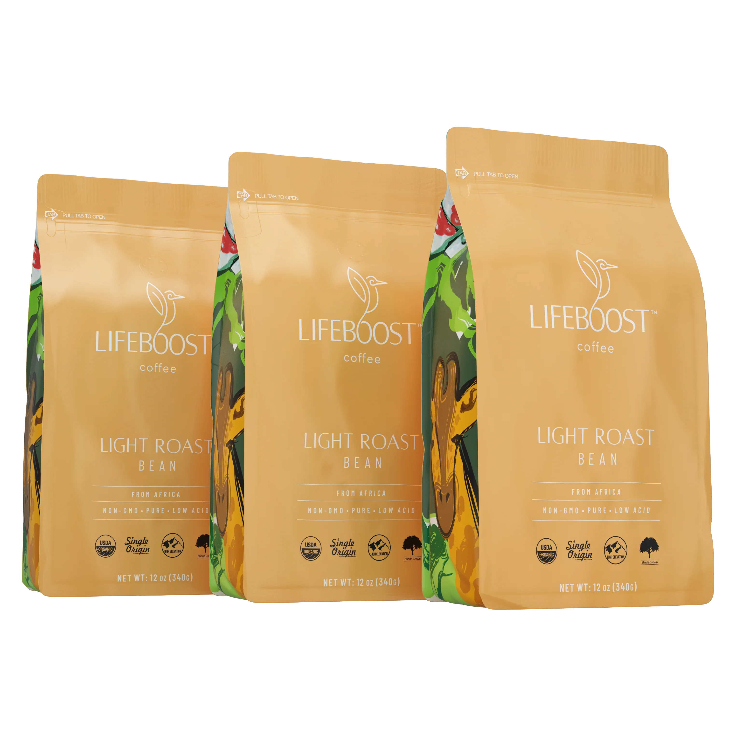 Lifeboost Africa - Image 21