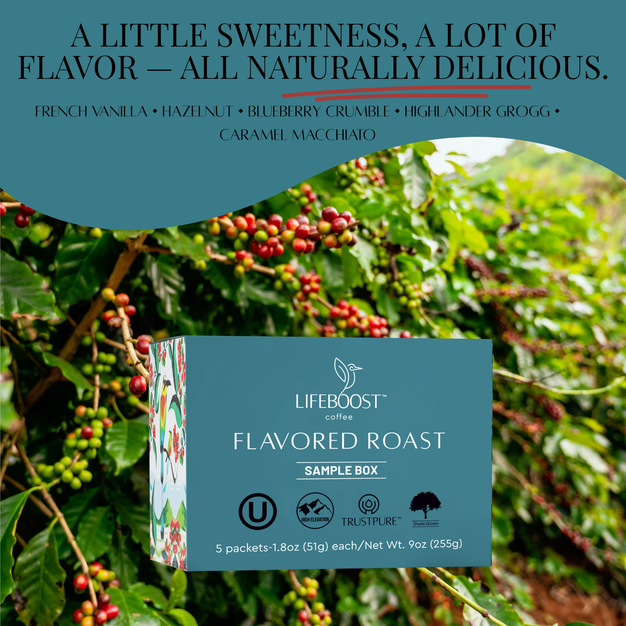 Flavored Sample Pack - Image 3