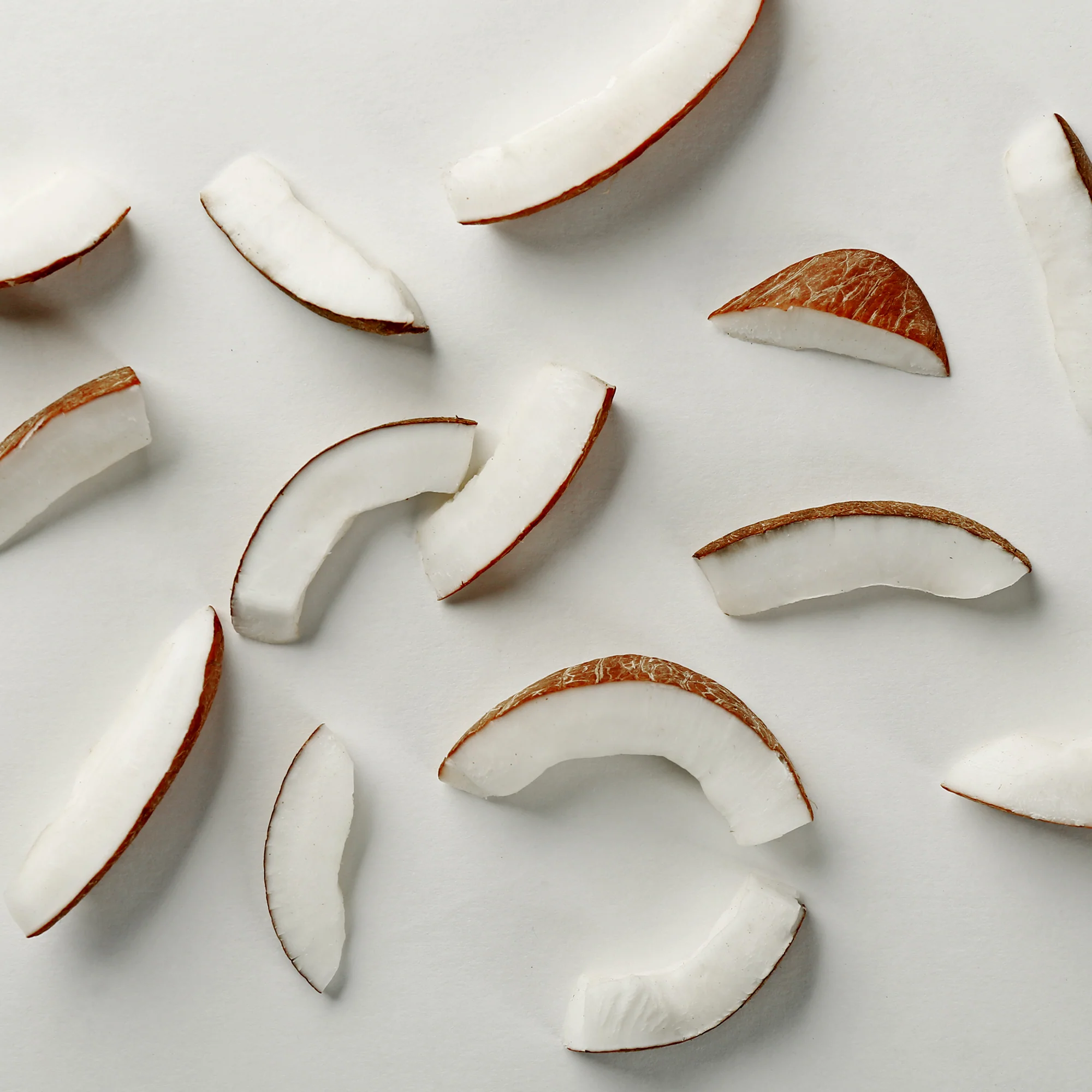 Toasted Coconut - Image 4